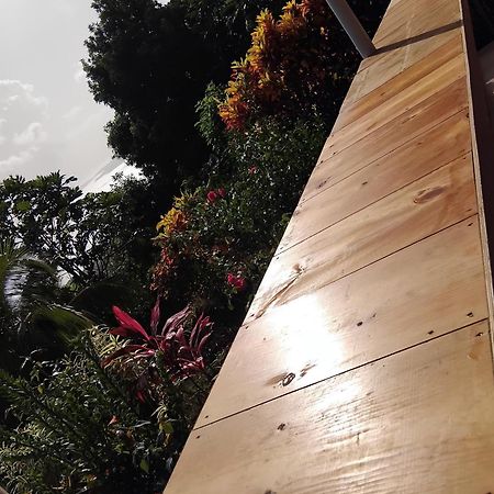 "Sunrise Inn" Nature Island Dominica Penville Dış mekan fotoğraf
